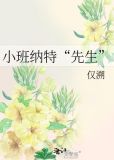 小班纳特先生TXT下载