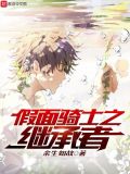 假面骑士之继承者小说
