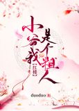 红楼小爷我是个粗人书评