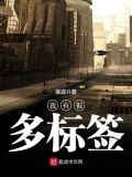 我有很多标签 小说