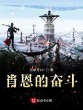 肖恩的奋斗向家小十百度云