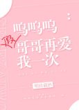 哥哥再爱我一次大结局是什么