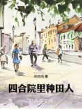 四合院里种田人小说