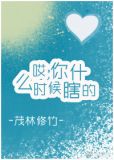 哎你什么时候瞎的书评