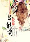 穿越之贤能妻,作者伯研