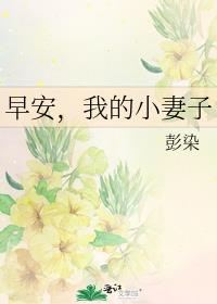 早安,我的小妻子英文