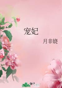 宠妃小说
