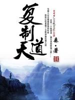 复制天道 小说