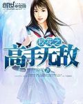 校花之高手无敌 小说