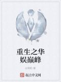 重生之华娱巅峰小说