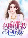 亿万闪婚免费阅读全文