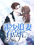 霍总追妻有点忙
