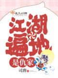 江湖遍地是仇家 司唐