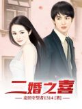 小说,二婚之痒