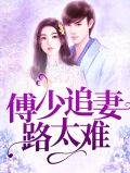 傅少追妻又翻车小说免费阅读