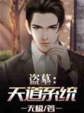 盗墓:天道系统