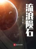 流浪陨石之类的小说