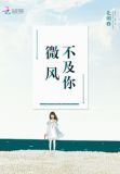 微风不及你温柔