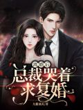 离婚后总裁哭着求复婚视频在线观看