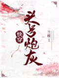 头号炮灰TXT