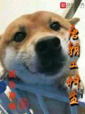唐朝工科生笔趣阁