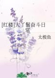 [红楼]大丫鬟奋斗日常