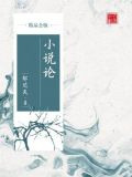 小说论（精品公版）
