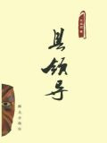 县领导