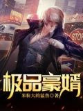极品豪婿