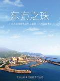 东方之珠：广东大亚湾核电站开工建设