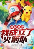 宝可梦：我成立了火箭队