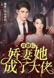 离婚后娇妻她成了大佬