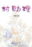 村助理