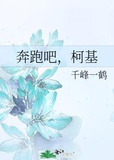 奔跑吧，柯基