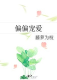 偏偏宠爱
