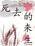 死去的来生